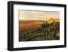 Higger Tor and Hathersage Moor, sunrise in autumn, Peak District National Park, Derbyshire, England-Eleanor Scriven-Framed Photographic Print