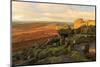 Higger Tor and Hathersage Moor, sunrise in autumn, Peak District National Park, Derbyshire, England-Eleanor Scriven-Mounted Photographic Print