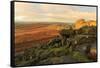 Higger Tor and Hathersage Moor, sunrise in autumn, Peak District National Park, Derbyshire, England-Eleanor Scriven-Framed Stretched Canvas