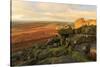 Higger Tor and Hathersage Moor, sunrise in autumn, Peak District National Park, Derbyshire, England-Eleanor Scriven-Stretched Canvas