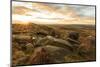 Higger Tor, Carl Wark Hill Fort and Hathersage Moor, sunrise in autumn, Peak District National Park-Eleanor Scriven-Mounted Photographic Print