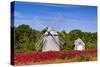 Higgins Farm Windmill-Michael Blanchette-Stretched Canvas