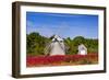 Higgins Farm Windmill-Michael Blanchette-Framed Photographic Print