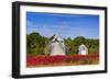 Higgins Farm Windmill-Michael Blanchette-Framed Photographic Print