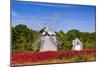 Higgins Farm Windmill-Michael Blanchette-Mounted Photographic Print