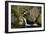 High and Low-Eye Of The Mind Photography-Framed Photographic Print