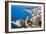 High Angle View, Monaco, Cote D'Azur, Mediterranean, Europe-Peter Groenendijk-Framed Photographic Print