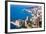 High Angle View, Monaco, Cote D'Azur, Mediterranean, Europe-Peter Groenendijk-Framed Photographic Print