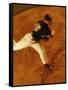 High Angle View of a Baseball Pitcher-null-Framed Stretched Canvas