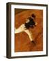 High Angle View of a Baseball Pitcher-null-Framed Photographic Print