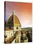 High Angle View of a Cathedral, Duomo Santa Maria Del Fiore, at Sunset Florence, Tuscany, Italy-Miva Stock-Stretched Canvas