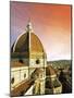 High Angle View of a Cathedral, Duomo Santa Maria Del Fiore, at Sunset Florence, Tuscany, Italy-Miva Stock-Mounted Photographic Print