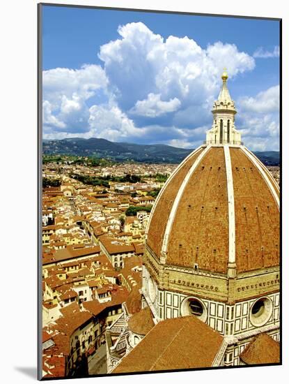 High Angle View of a Cathedral, Duomo Santa Maria Del Fiore, Florence, Tuscany, Italy-Miva Stock-Mounted Photographic Print