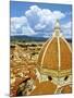 High Angle View of a Cathedral, Duomo Santa Maria Del Fiore, Florence, Tuscany, Italy-Miva Stock-Mounted Photographic Print