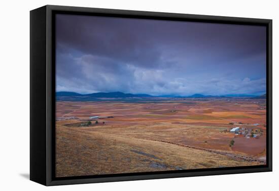 High angle view of a field, Consuegra, Toledo Province, Castilla La Mancha, Spain-null-Framed Stretched Canvas