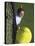 High Angle View of a Man Hitting a Tennis Ball-null-Stretched Canvas