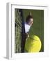 High Angle View of a Man Hitting a Tennis Ball-null-Framed Premium Photographic Print