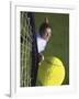 High Angle View of a Man Hitting a Tennis Ball-null-Framed Photographic Print