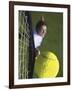 High Angle View of a Man Hitting a Tennis Ball-null-Framed Photographic Print