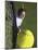High Angle View of a Man Hitting a Tennis Ball-null-Mounted Photographic Print