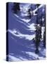 High Angle View of a Man Skiing-null-Stretched Canvas