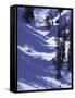 High Angle View of a Man Skiing-null-Framed Stretched Canvas