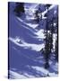 High Angle View of a Man Skiing-null-Stretched Canvas