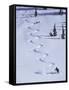 High Angle View of a Man Skiing-null-Framed Stretched Canvas