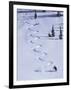 High Angle View of a Man Skiing-null-Framed Photographic Print