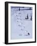 High Angle View of a Man Skiing-null-Framed Photographic Print