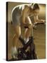 High Angle View of a Mid Adult Woman Exercising in a Gym-null-Stretched Canvas