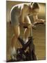 High Angle View of a Mid Adult Woman Exercising in a Gym-null-Mounted Photographic Print