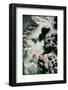 High angle view of a person kayaking in rapid water-null-Framed Photographic Print