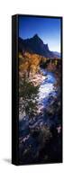 High Angle View of a River Flowing Through a Forest, Virgin River, Zion National Park, Utah, USA-null-Framed Stretched Canvas