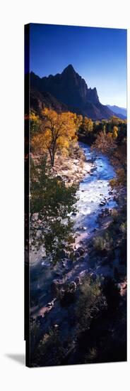High Angle View of a River Flowing Through a Forest, Virgin River, Zion National Park, Utah, USA-null-Stretched Canvas