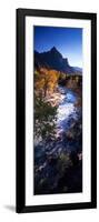 High Angle View of a River Flowing Through a Forest, Virgin River, Zion National Park, Utah, USA-null-Framed Photographic Print