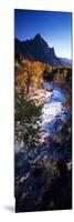 High Angle View of a River Flowing Through a Forest, Virgin River, Zion National Park, Utah, USA-null-Mounted Photographic Print