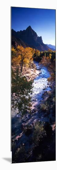 High Angle View of a River Flowing Through a Forest, Virgin River, Zion National Park, Utah, USA-null-Mounted Photographic Print