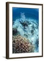 High Angle View of a Scuba Diver Diving in Shallow Water Close to Coral Reef-Mark Doherty-Framed Photographic Print