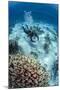 High Angle View of a Scuba Diver Diving in Shallow Water Close to Coral Reef-Mark Doherty-Mounted Photographic Print