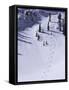 High Angle View of a Ski Slope-null-Framed Stretched Canvas