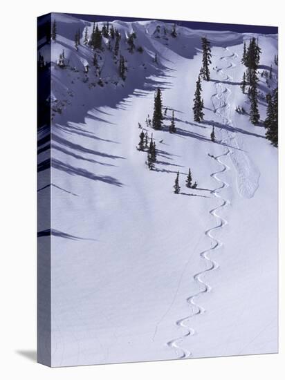 High Angle View of a Ski Slope-null-Stretched Canvas