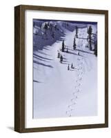 High Angle View of a Ski Slope-null-Framed Photographic Print