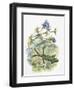 High Angle View of a Wall Lizard-null-Framed Giclee Print