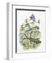 High Angle View of a Wall Lizard-null-Framed Giclee Print