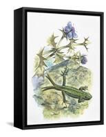 High Angle View of a Wall Lizard-null-Framed Stretched Canvas