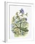 High Angle View of a Wall Lizard-null-Framed Giclee Print