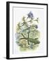 High Angle View of a Wall Lizard-null-Framed Giclee Print