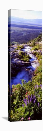 High Angle View of a Waterfall, Ribbon Falls, Yosemite National Park, California, USA-null-Stretched Canvas