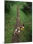 High Angle View of a Young Couple Hiking on a Forest Trail-null-Mounted Photographic Print